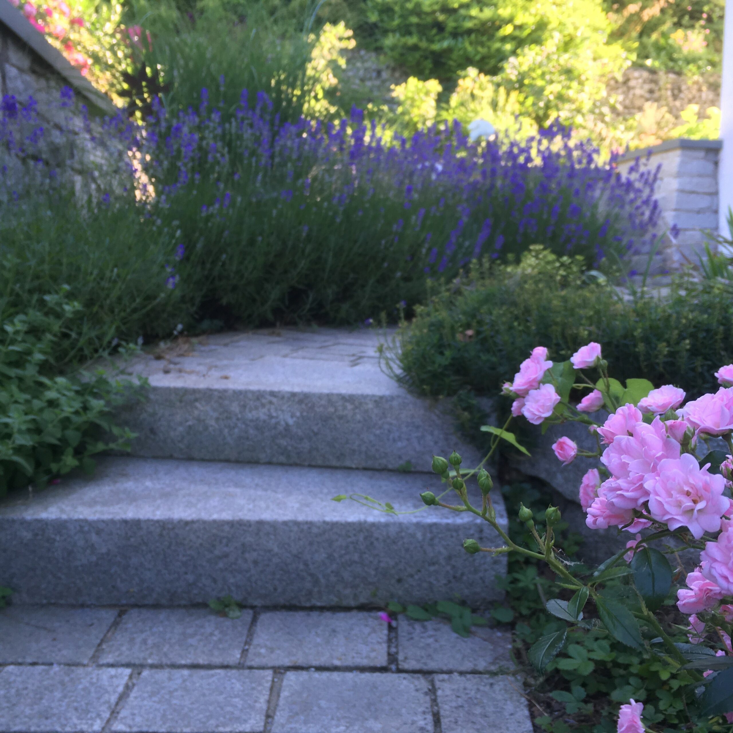 Treppenanlage, Gala-Bau, Gartenlandschaftsbau, Landschaftsbau, Treppe, Grünflächenpflegepläne und -konzepte, Technische Ausstattung für insektenschonende Pflege, Anlage und Aufwertung von naturnahen Grünflächen, Aus- und Weiterbildung von Personal, Pflanzung von Straßenbäumen, Einzelbäumen, Mehrjährige Entwicklungspflege von Neupflanzungen, Kleine, lokalklimatische und biodiversitätsfördernde Parkanlagen, Naturerfahrungsräume, Renaturierung innerörtlicher Kleingewässer Treppenanlage, Gala-Bau, Gartenlandschaftsbau, Landschaftsbau, Treppe, Grünflächenpflegepläne und -konzepte,<br />
Technische Ausstattung für insektenschonende Pflege,<br />
Anlage und Aufwertung von naturnahen Grünflächen,<br />
Aus- und Weiterbildung von Personal, Pflanzung von Straßenbäumen, Einzelbäumen,<br />
Mehrjährige Entwicklungspflege von Neupflanzungen, Kleine, lokalklimatische und biodiversitätsfördernde Parkanlagen,<br />
Naturerfahrungsräume, Renaturierung innerörtlicher Kleingewässer<br />